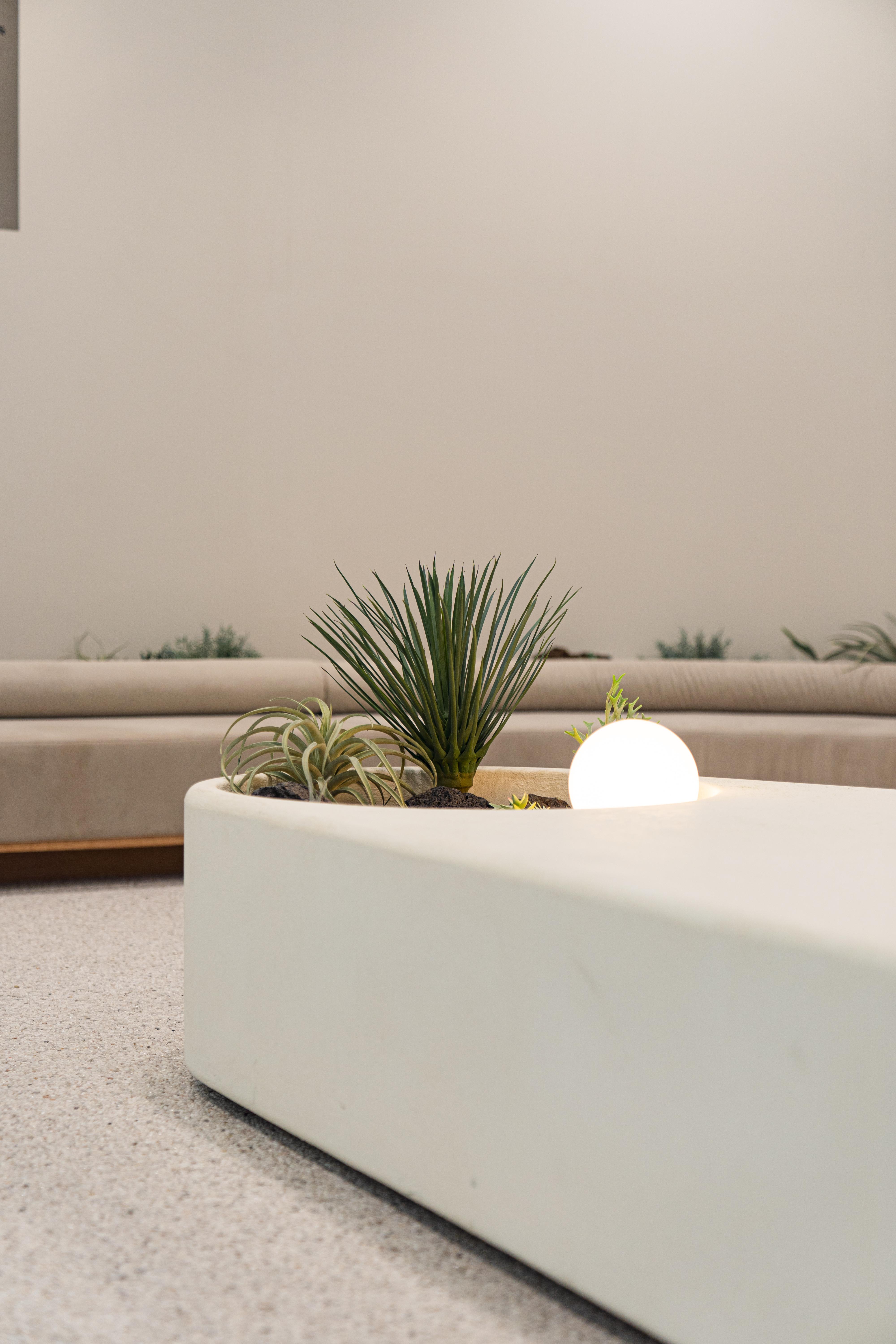 더 코나 메디스페이스 매거진